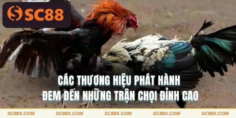 Các thương hiệu phát hành đem đến những trận chọi đỉnh cao
